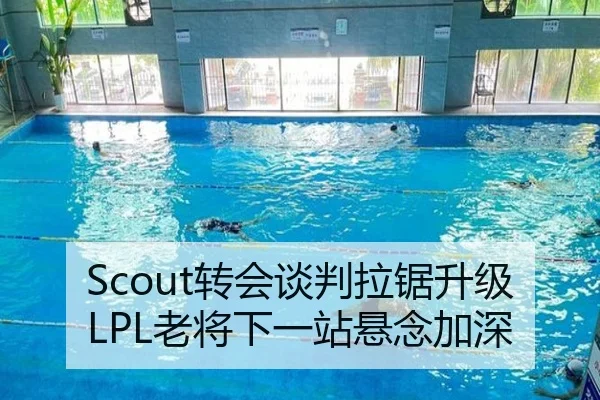 Scout转会谈判拉锯升级LPL老将下一站悬念加深